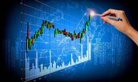 Tham gia nhóm tư vấn đầu tư chứng khoán ứng dụng NEEX, nhiều người bị lừa hàng tỷ đồng