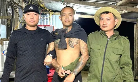 Kẻ cầm đầu mua bán người sa lưới ở Đà Nẵng