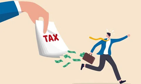 Khởi tố giám đốc doanh nghiệp nước ngoài trốn thuế hơn 3,2 tỷ đồng