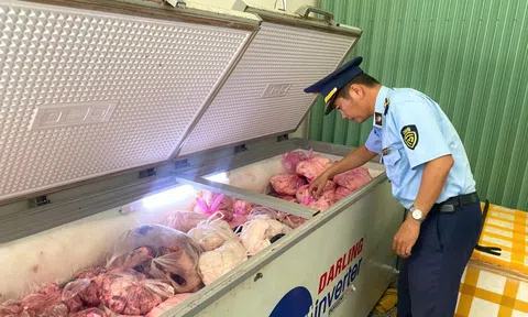 Gia Lai tăng cường giám sát, ngăn chặn dịch tả lợn châu Phi