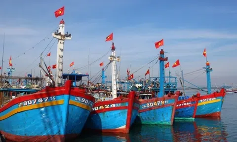 Xuất hiện áp thấp nhiệt đới trên biển Đông và các chỉ đạo ứng phó