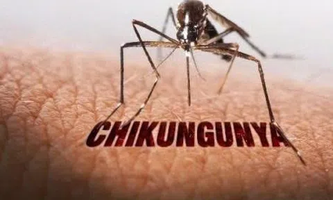 Bộ Y tế nói về các kịch bản ứng phó nguy cơ lây lan bệnh Chikungynya