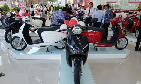 Việt Nam tiêu thụ xe máy điện nhiều thứ ba thế giới