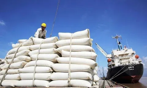 Gạo Việt Nam phi mã bất chấp Ấn Độ xả kho, giá thế giới lao dốc