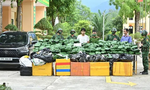 Hà Tĩnh: Bắt giữ đối tượng vận chuyển, tàng trữ 240 kg cần sa