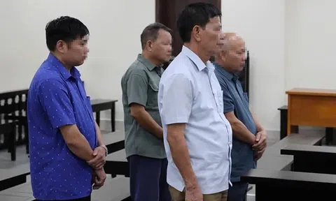 Tuyên án nhóm bị cáo vụ chuyển nhượng đất rừng phòng hộ trái phép