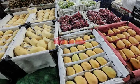 Bất ngờ về lượng xoài Trung Quốc về chợ TP HCM