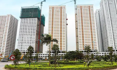 Bất động sản Vĩnh Xuân làm ăn thế nào trong nửa đầu năm 2025?