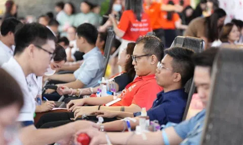 Cán bộ nhân viên ROX Group chung tay hiến máu, lan tỏa giá trị sống đẹp