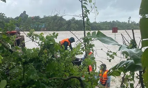 Khẩn trương xử lý sự cố xảy ra trên các tuyến đê tại Thanh Hóa