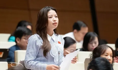 "Những giáo viên bị bạo lực phải sống trong lo sợ, dễ tổn thương"