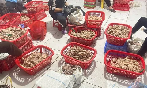 Phát hiện 3,5 tấn chân gà không rõ nguồn gốc xuất xứ