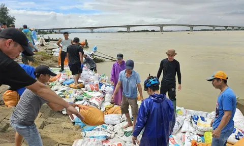 Hàng nghìn người 'vá kè' chống lũ lịch sử, cứu làng ở hạ lưu sông Thu Bồn