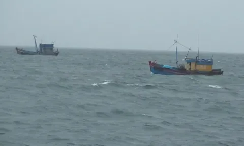 Vùng Cảnh sát biển 2 bắt giữ hai tàu cá vi phạm IUU